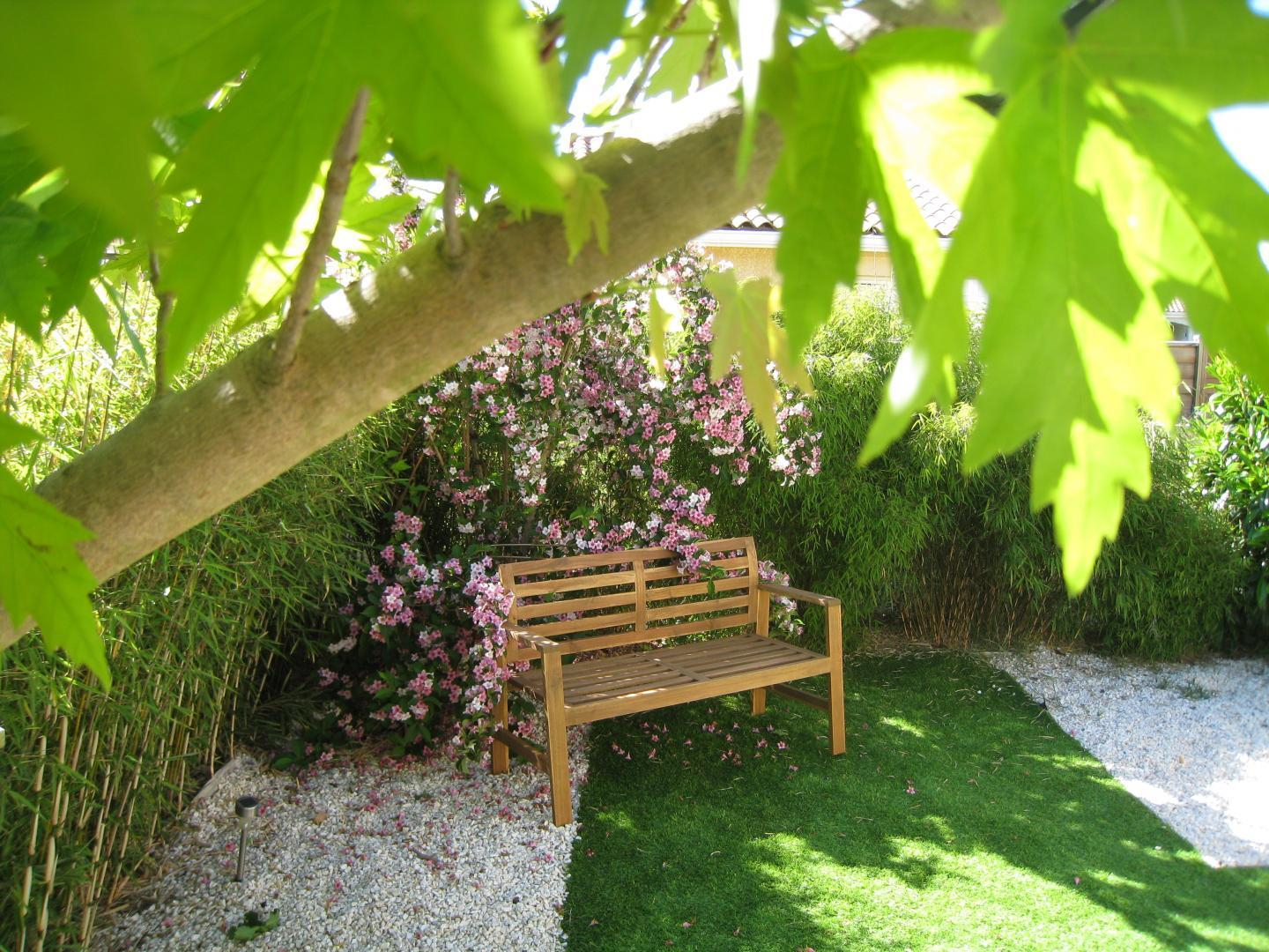 LES BAMBOUS, Plaisance-du-Touch - photo 239