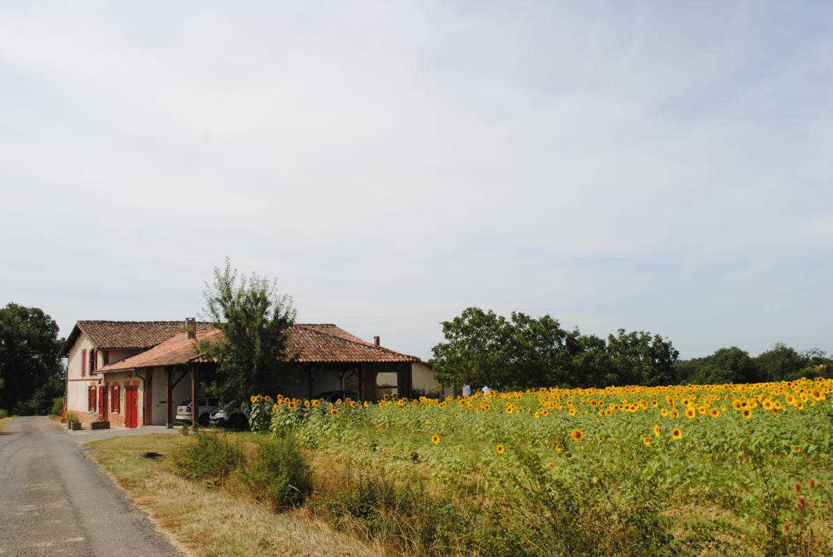 EN POUILLAC, Saint-Thomas - photo 261