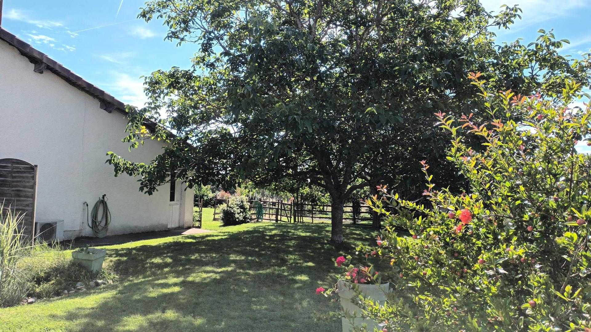 EN POUILLAC, Saint-Thomas - photo 258