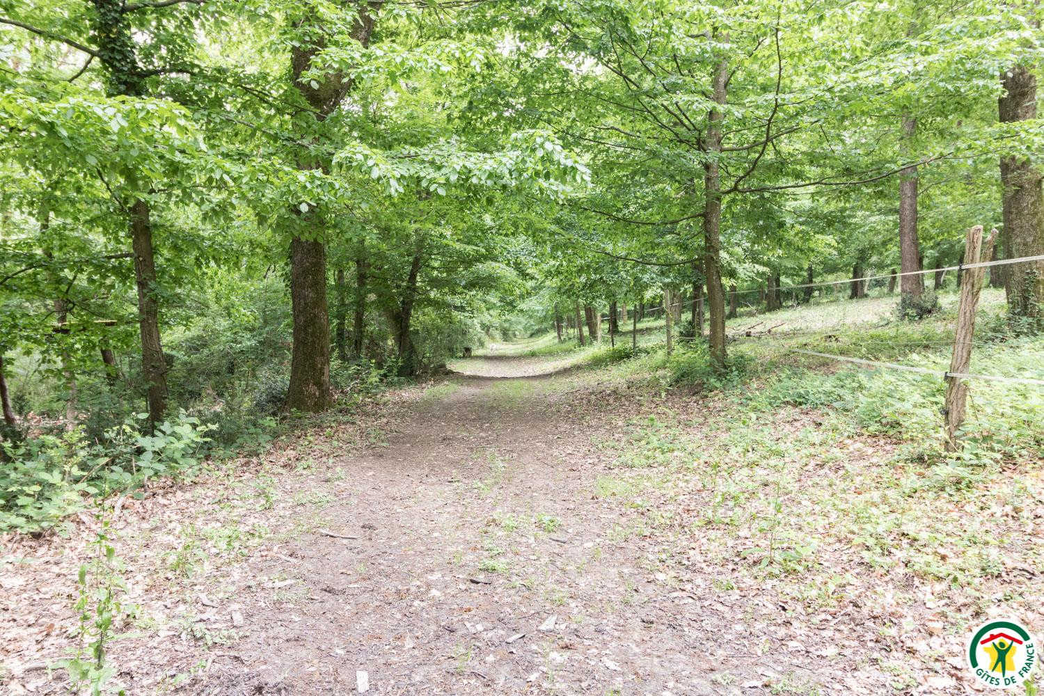 VILLA LES PARADOUX, Pin-Balma - photo 366