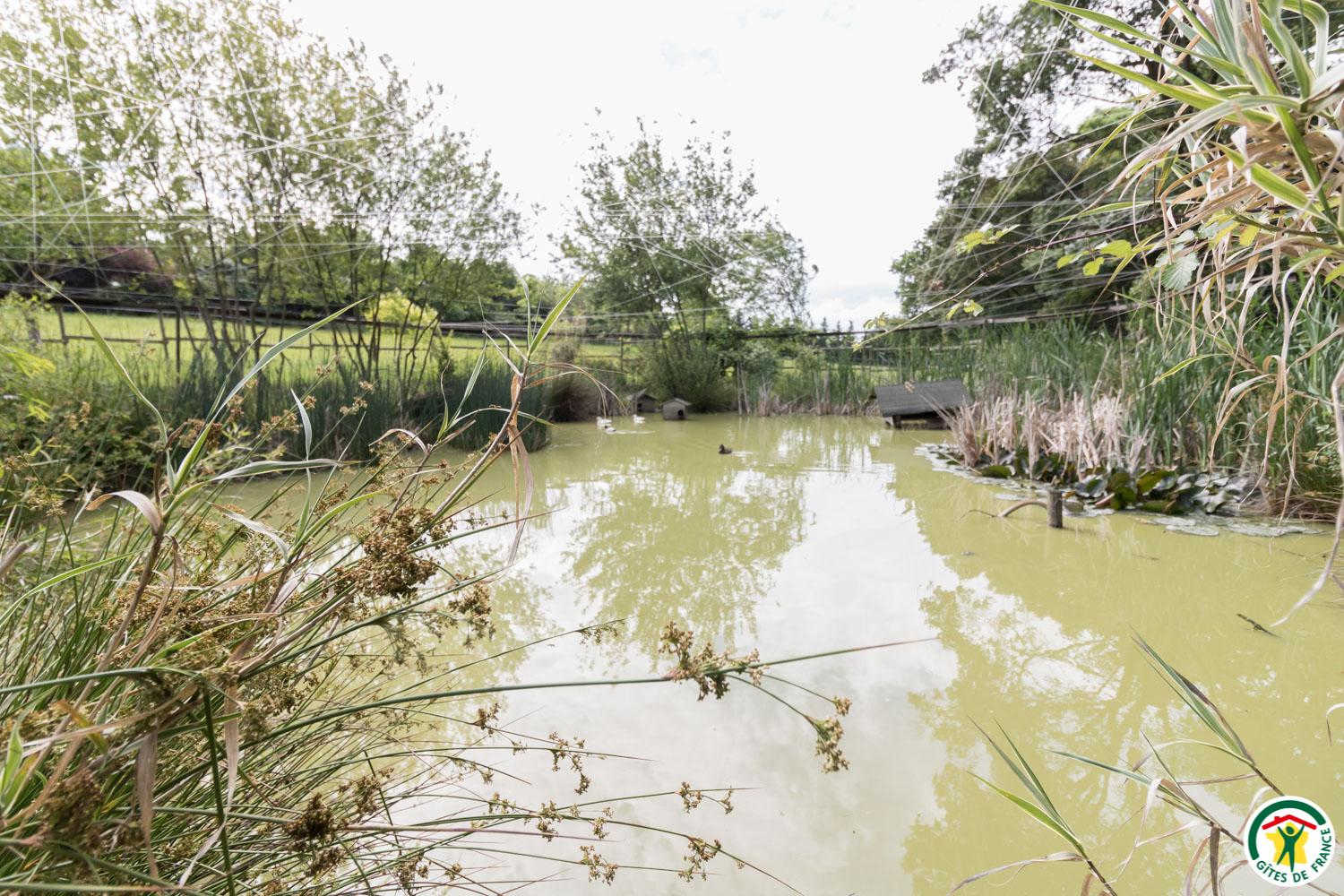 VILLA LES PARADOUX, Pin-Balma - photo 369