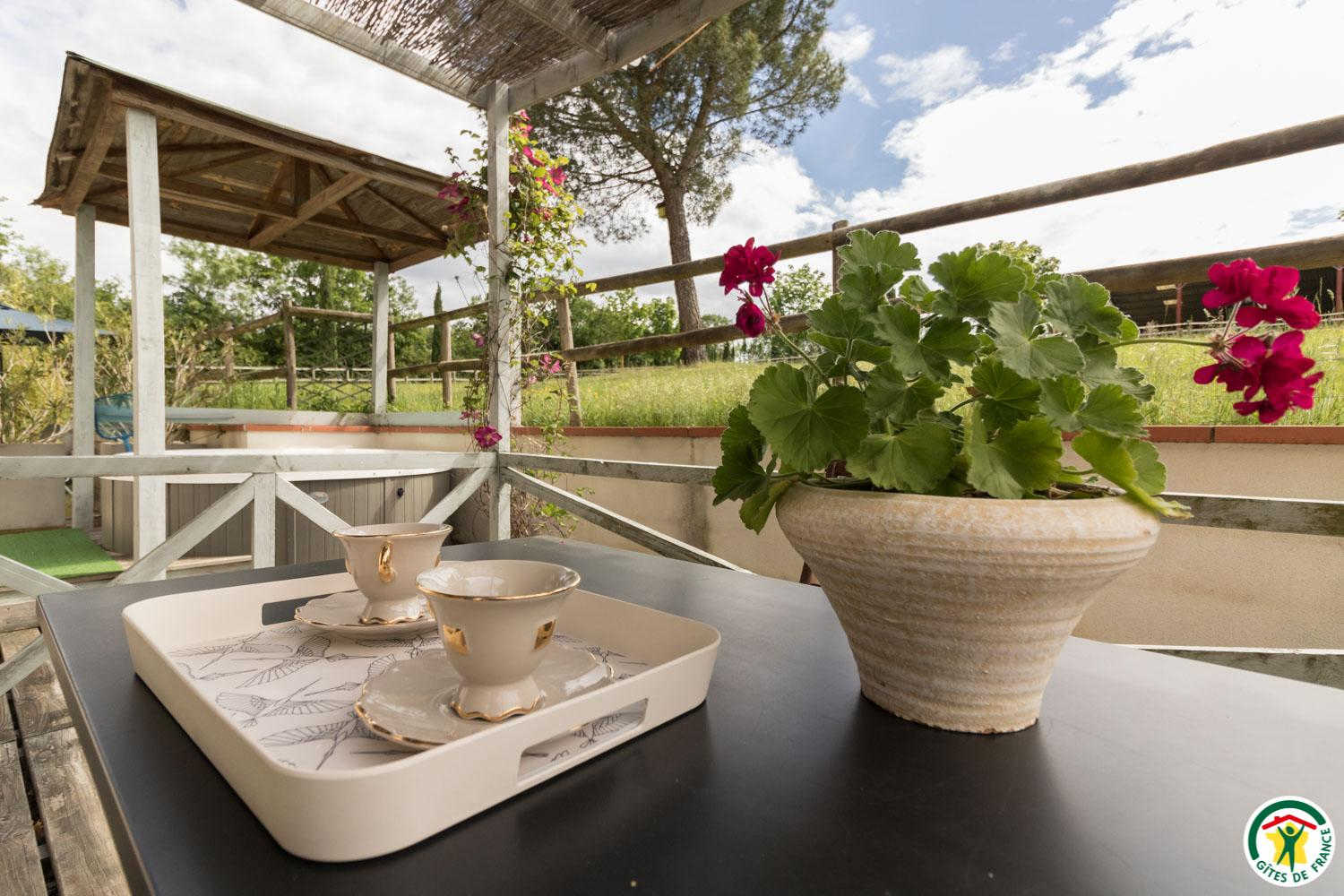 VILLA LES PARADOUX, Pin-Balma - photo 380