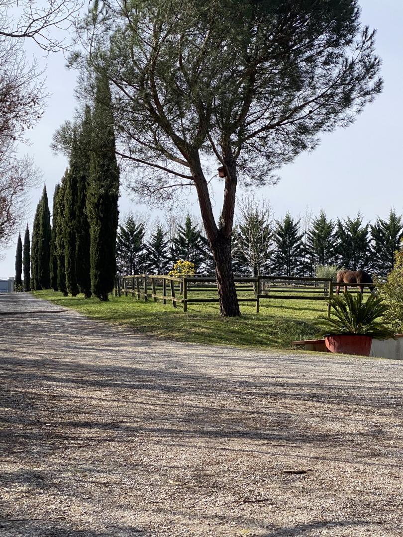 VILLA LES PARADOUX, Pin-Balma - photo 377