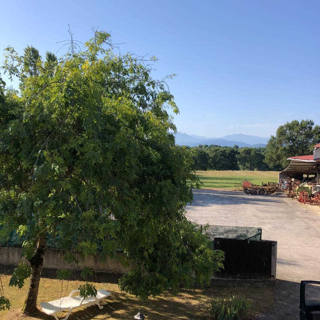 CHEZ REBOT - photo 3