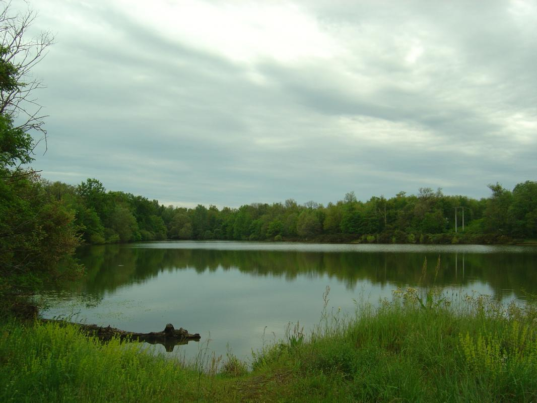 L'ATELIER DU HUCHIER, Poucharramet - photo 207