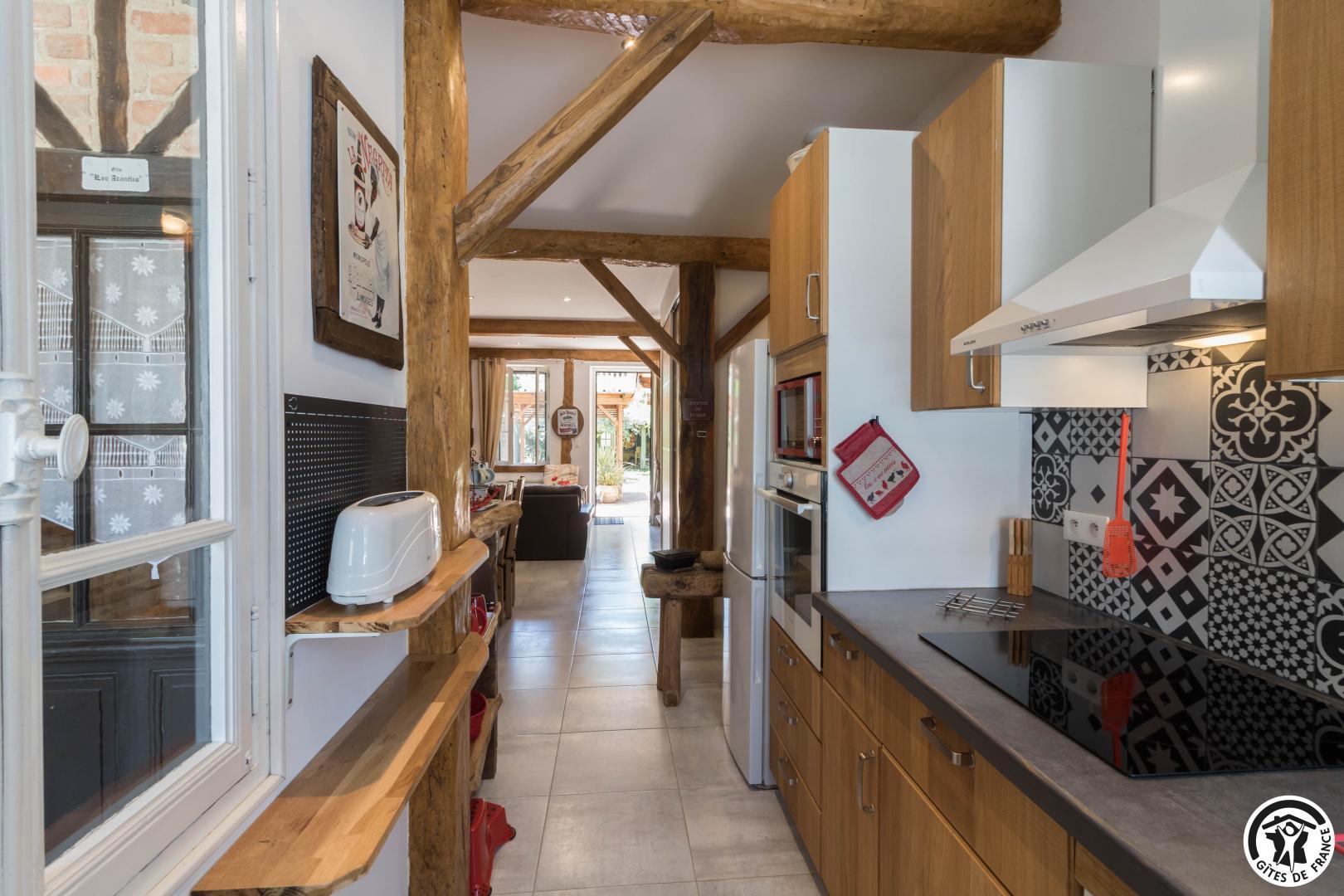 LOU ARANELIS, Lévignac - photo 129