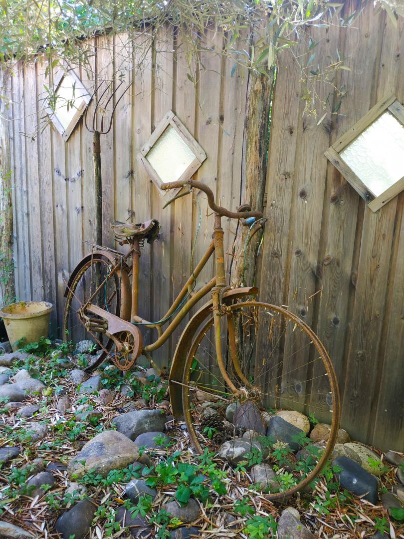 LOU ARANELIS, Lévignac - photo 137