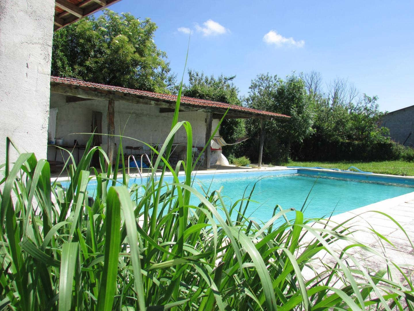 LE GÎTE DES OISEAUX