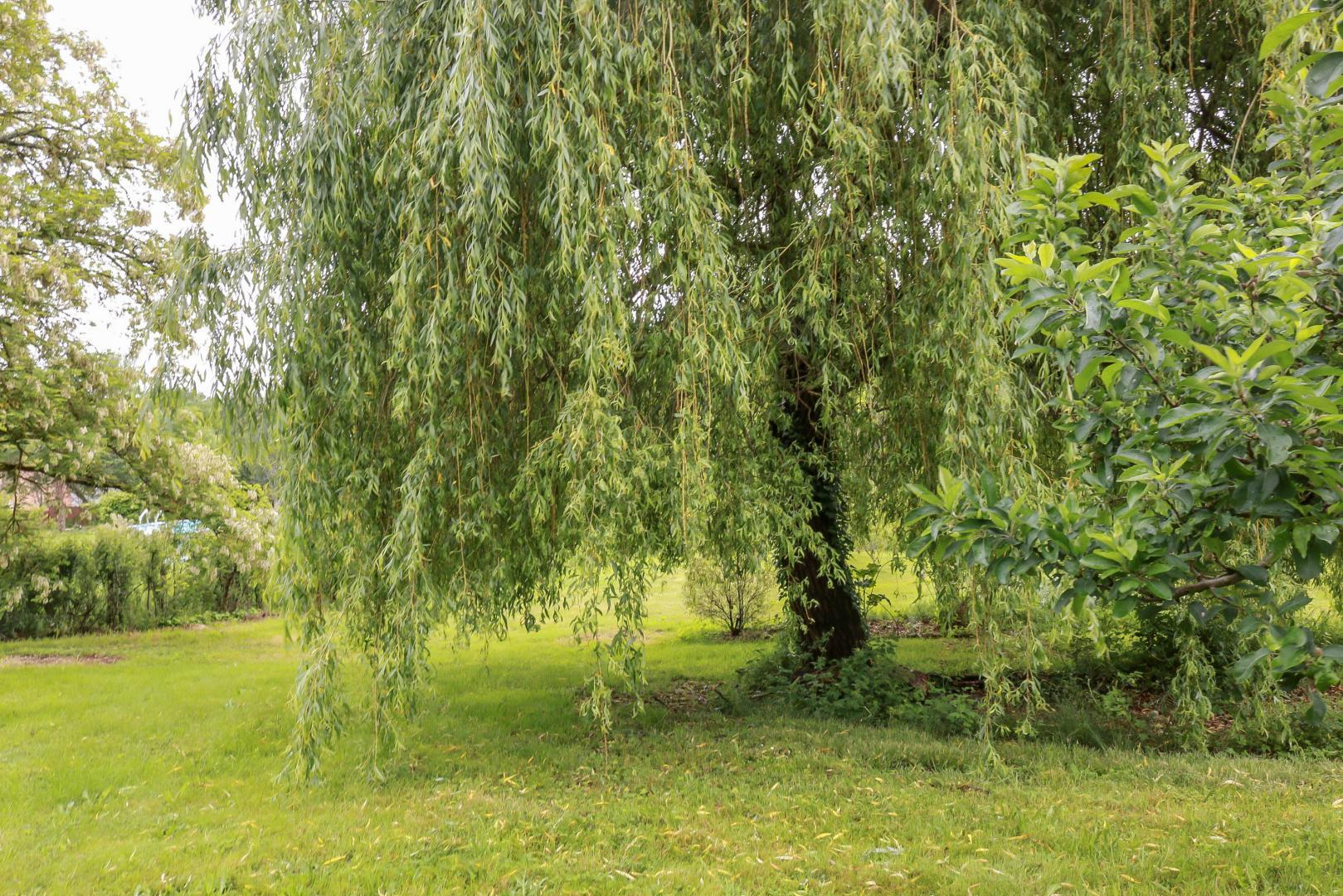 GREEN VALLEY, Villaudric - photo 146