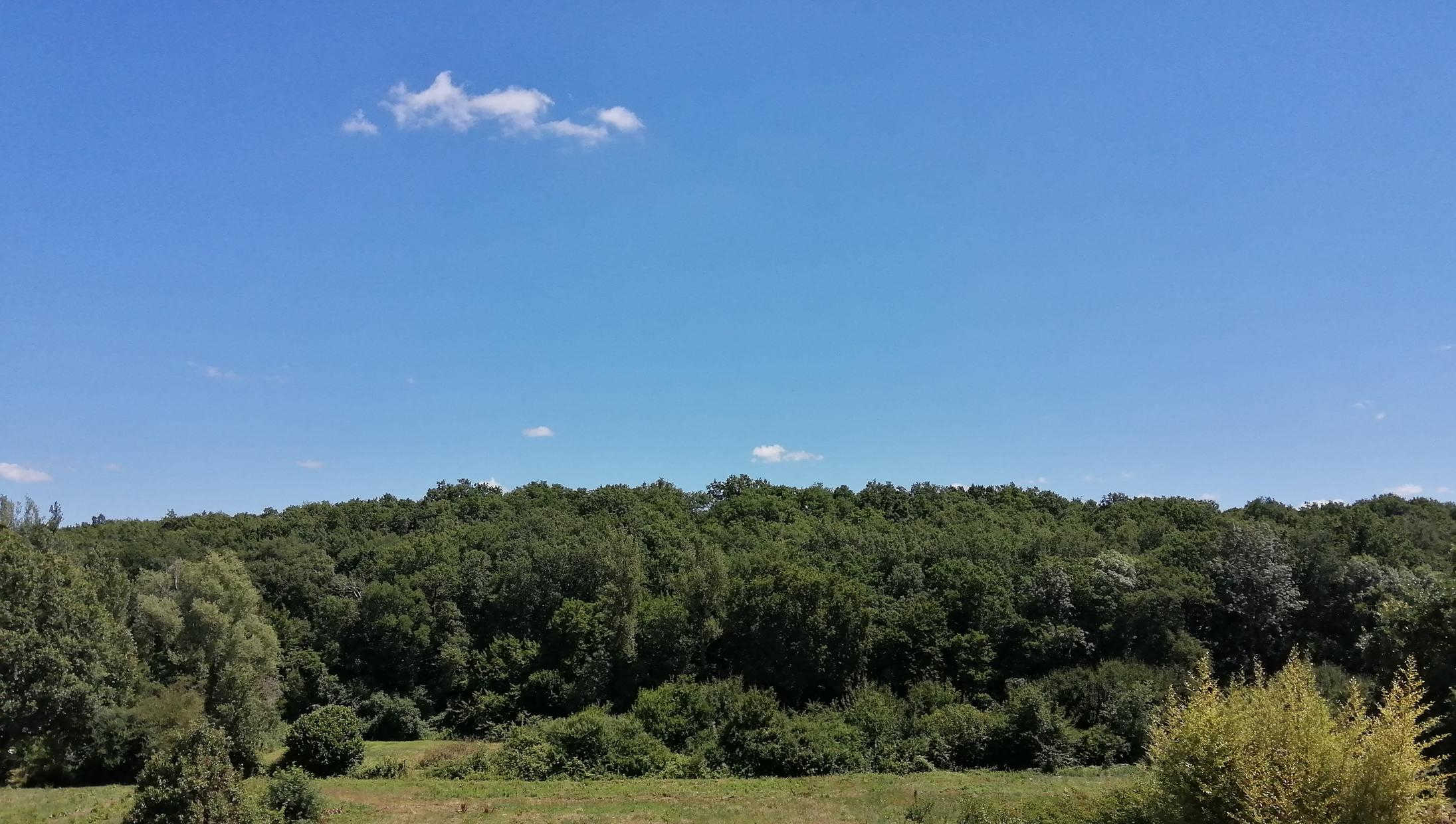 GREEN VALLEY, Villaudric - photo 134