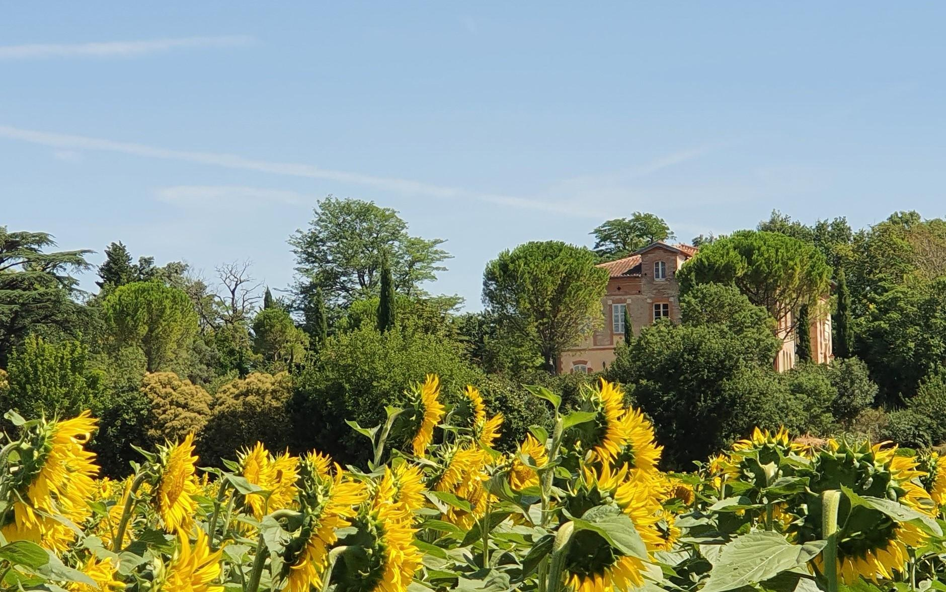 CHÂTEAU SUD — photo 2