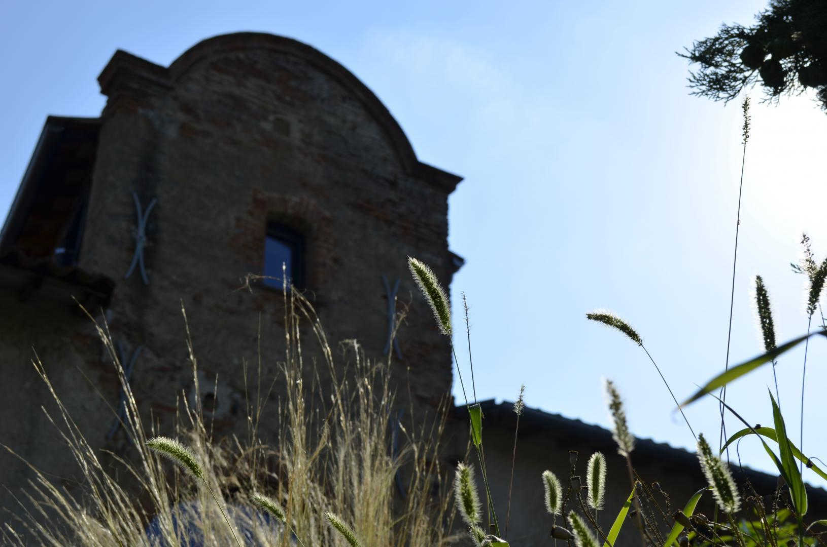 LE SOURIRE DES ANGES, Saint-Élix-le-Château - photo 213