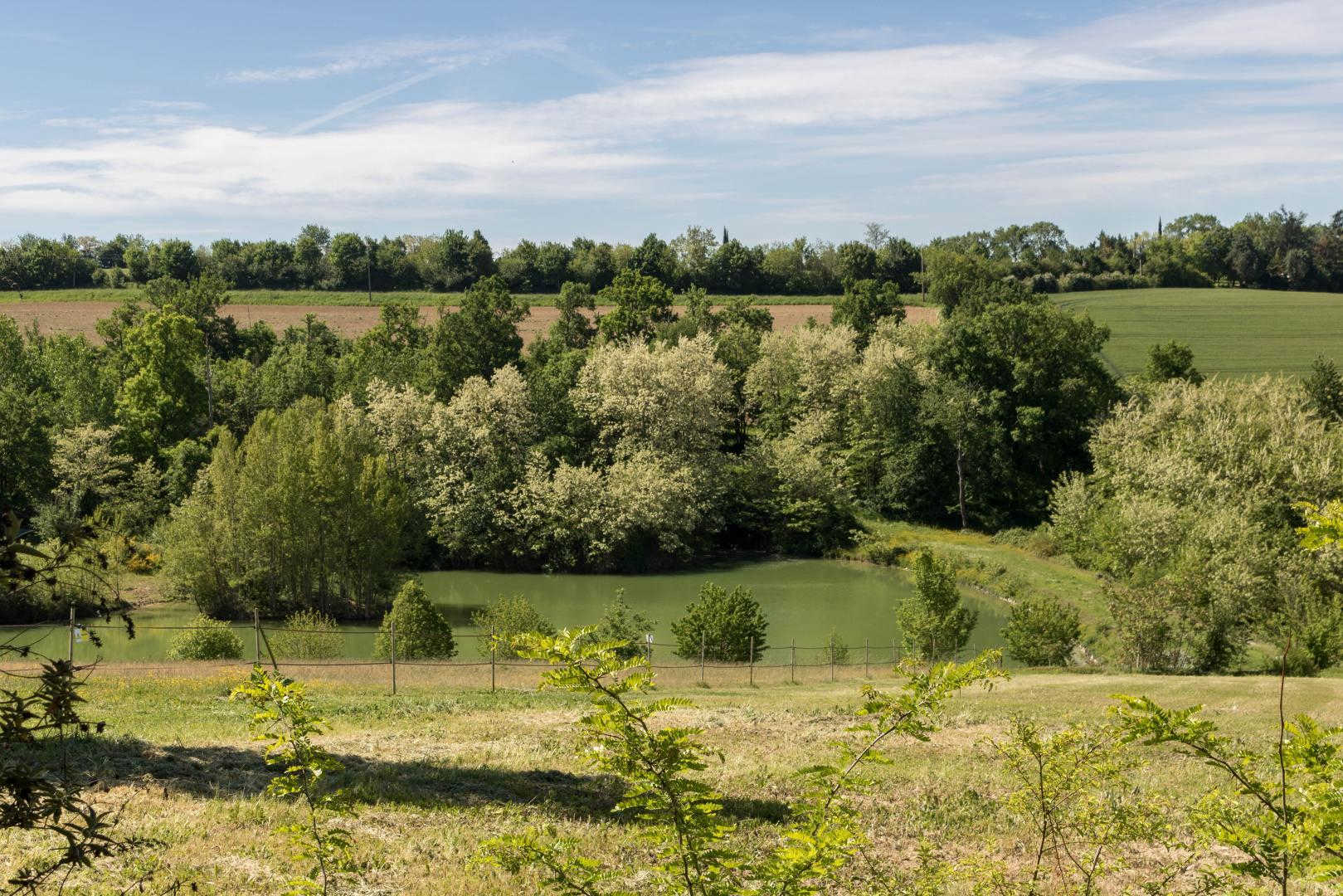 LA CARLE, Saint-Léon - photo 521