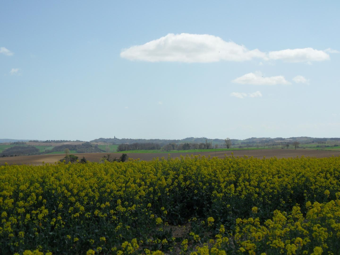 ESCAPADE LAURAGAISE, Saint-Félix-Lauragais - photo 181