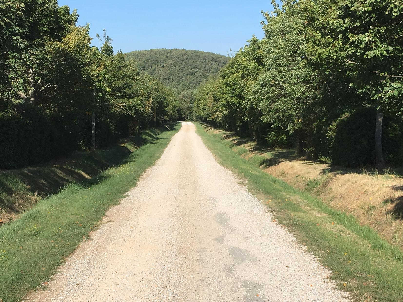 LA GASIGNOLE, Gardouch - photo 474