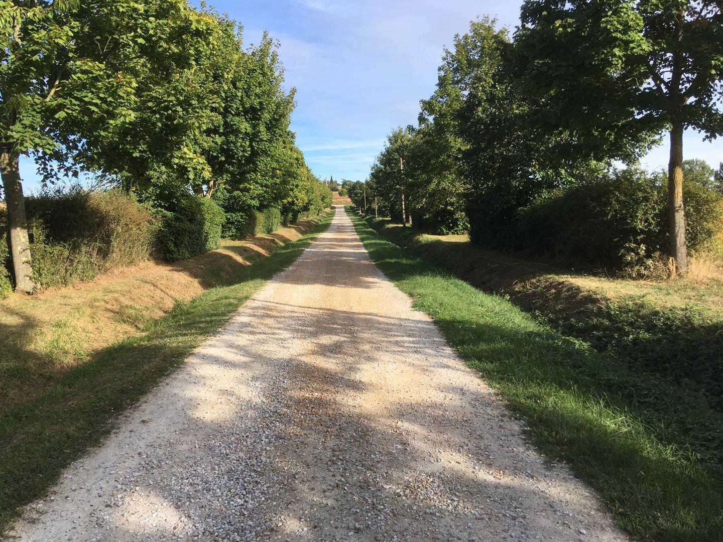 LA GASIGNOLE, Gardouch - photo 457