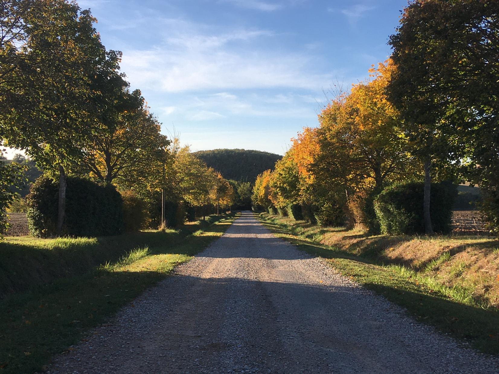 LA GASIGNOLE, Gardouch - photo 478