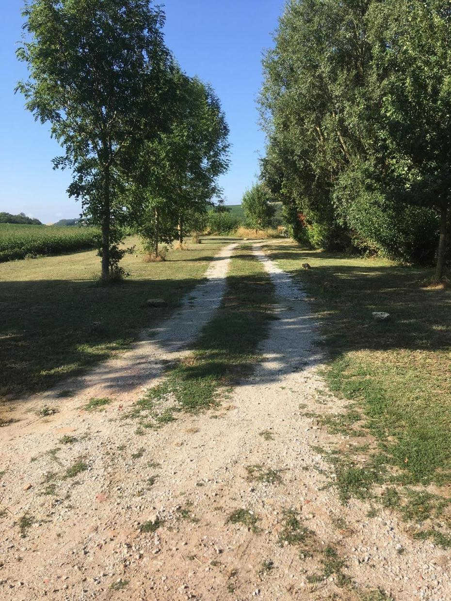 LA GASIGNOLE, Gardouch - photo 467