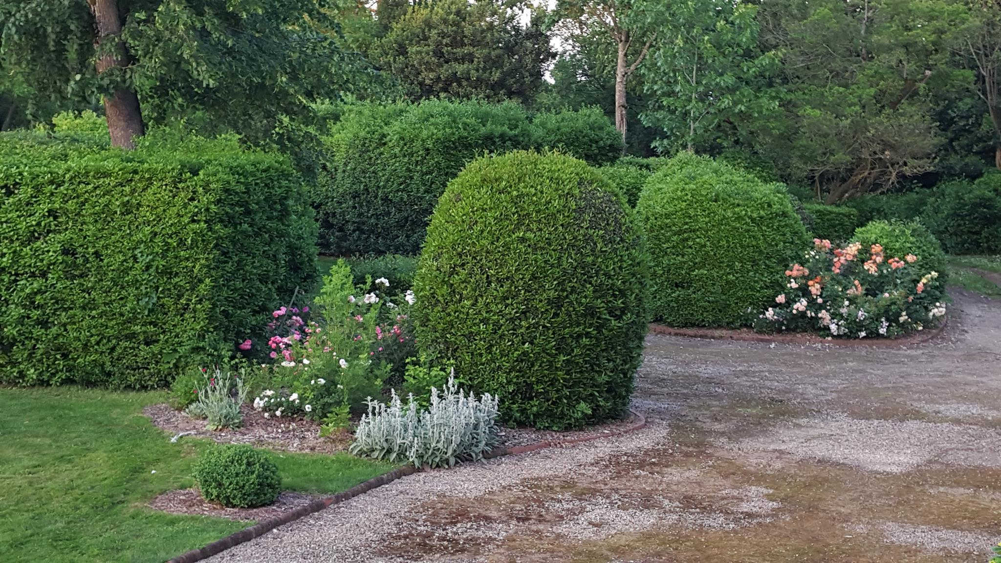 LES HORTENSIAS, Aigrefeuille - photo 227