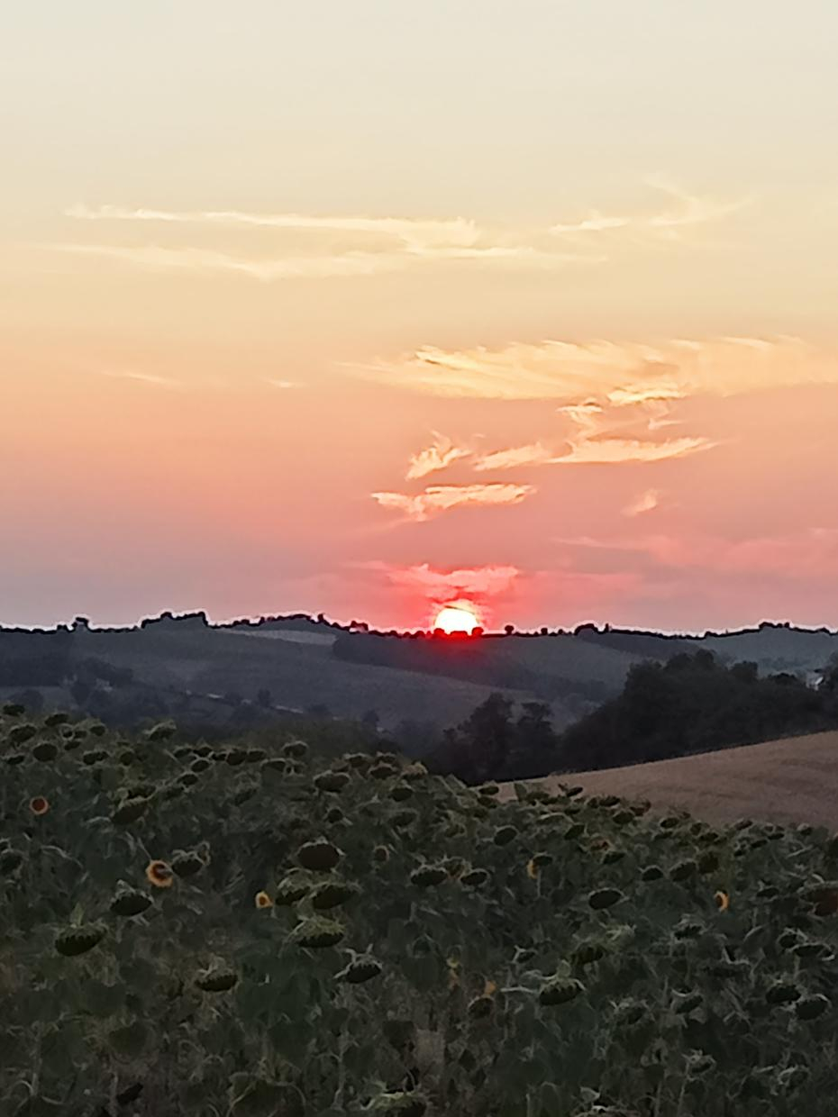 LE GÎTE SAINT-JEAN, Caignac - photo 101