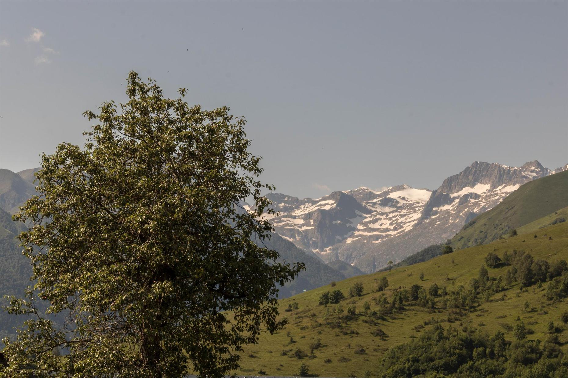 L'EDELWEISS, Poubeau - photo 334