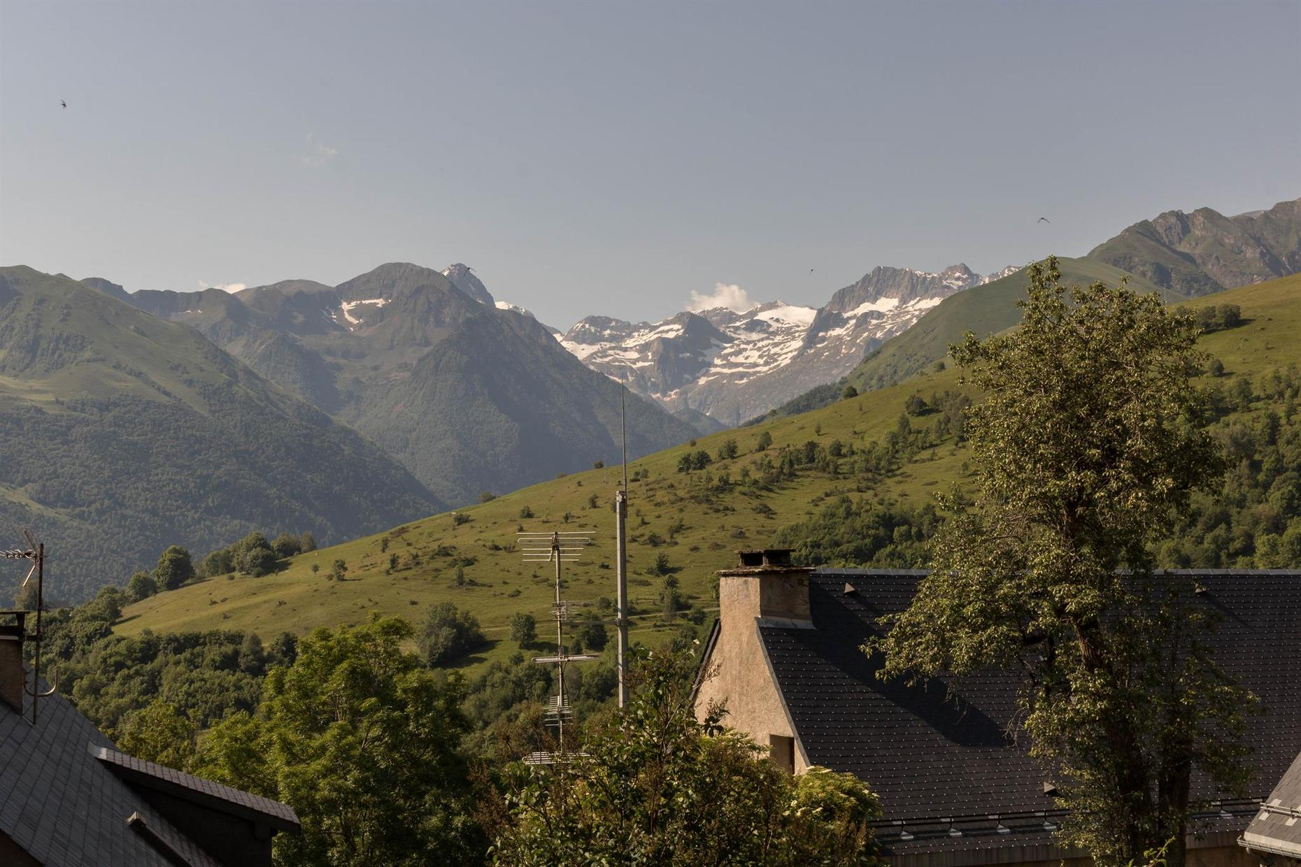 L'EDELWEISS, Poubeau - photo 340