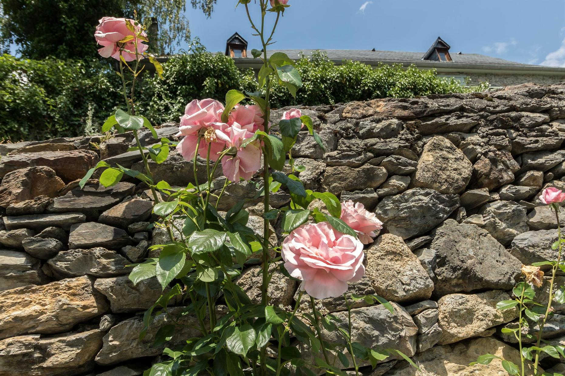 CHEZ NINON, Saint-Aventin - photo 152