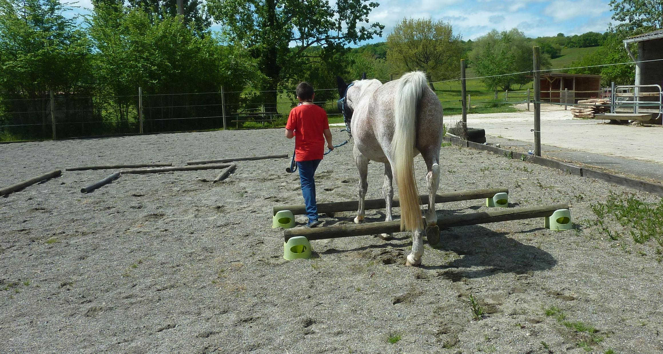 LA PETITE ECURIE DU MARJOULET, Gouzens - photo 802