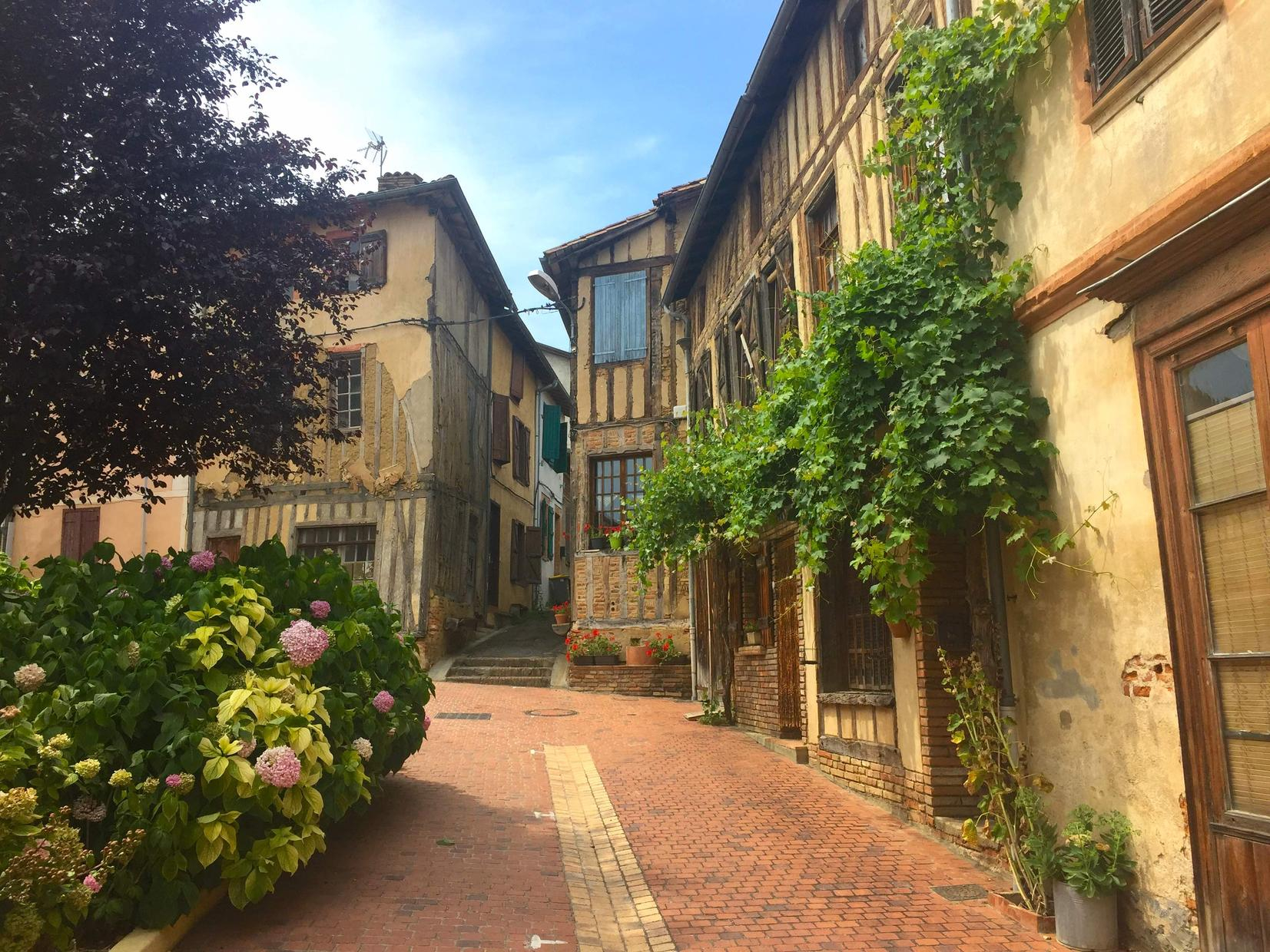 LA RIVIÈRE VACANCES, L'Isle-en-Dodon - photo 57