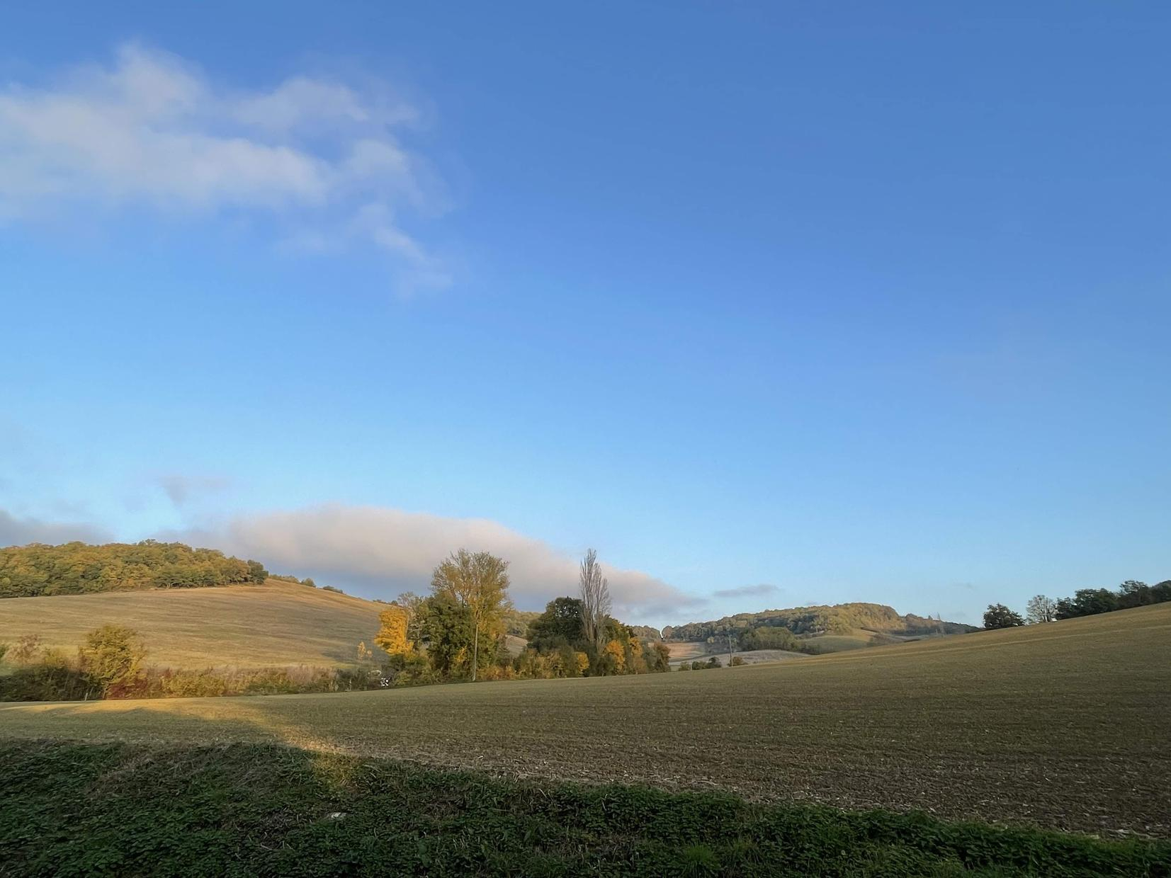 LA RIVIÈRE VACANCES, L'Isle-en-Dodon - photo 41