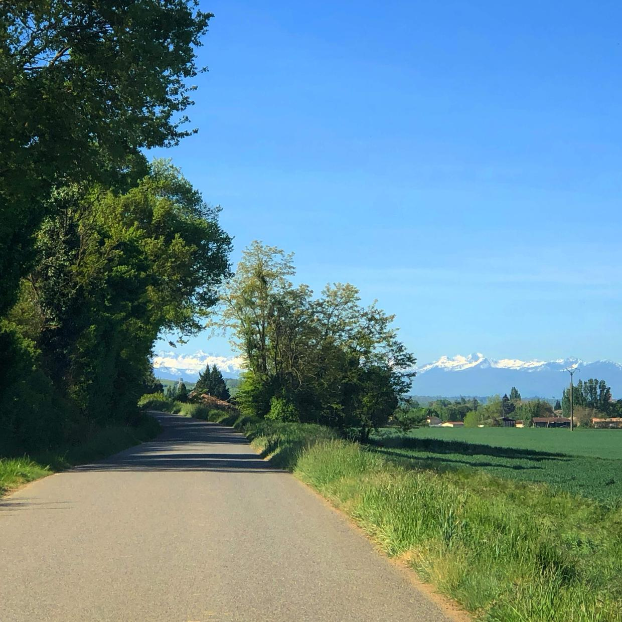 LA RIVIÈRE VACANCES, L'Isle-en-Dodon - photo 56