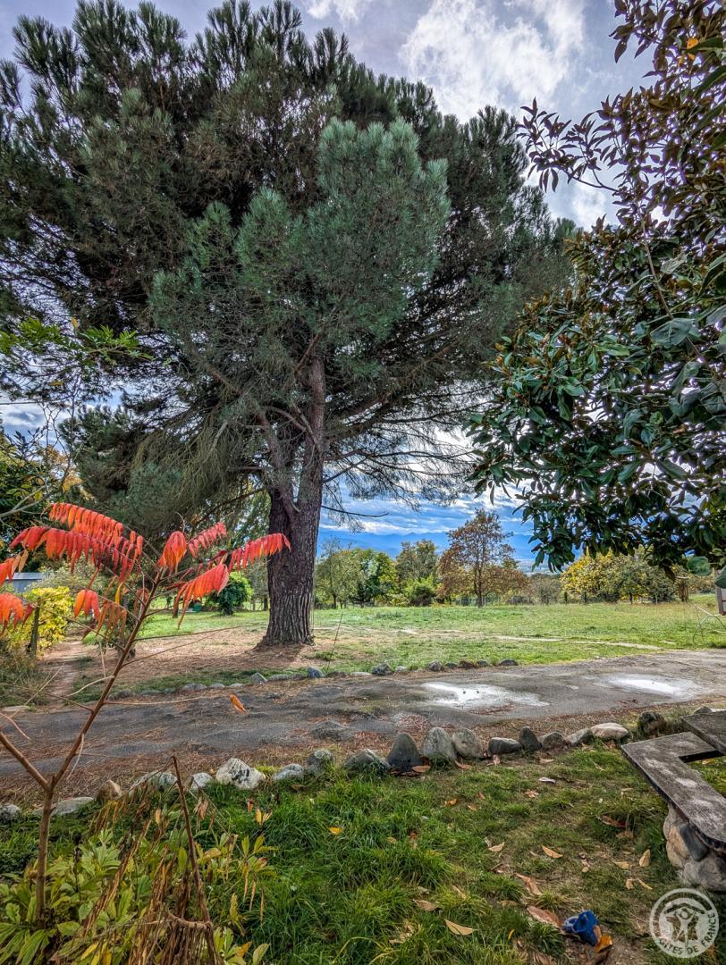 AU-DELÀ DES CIMES, Villeneuve-de-Rivière - photo 251