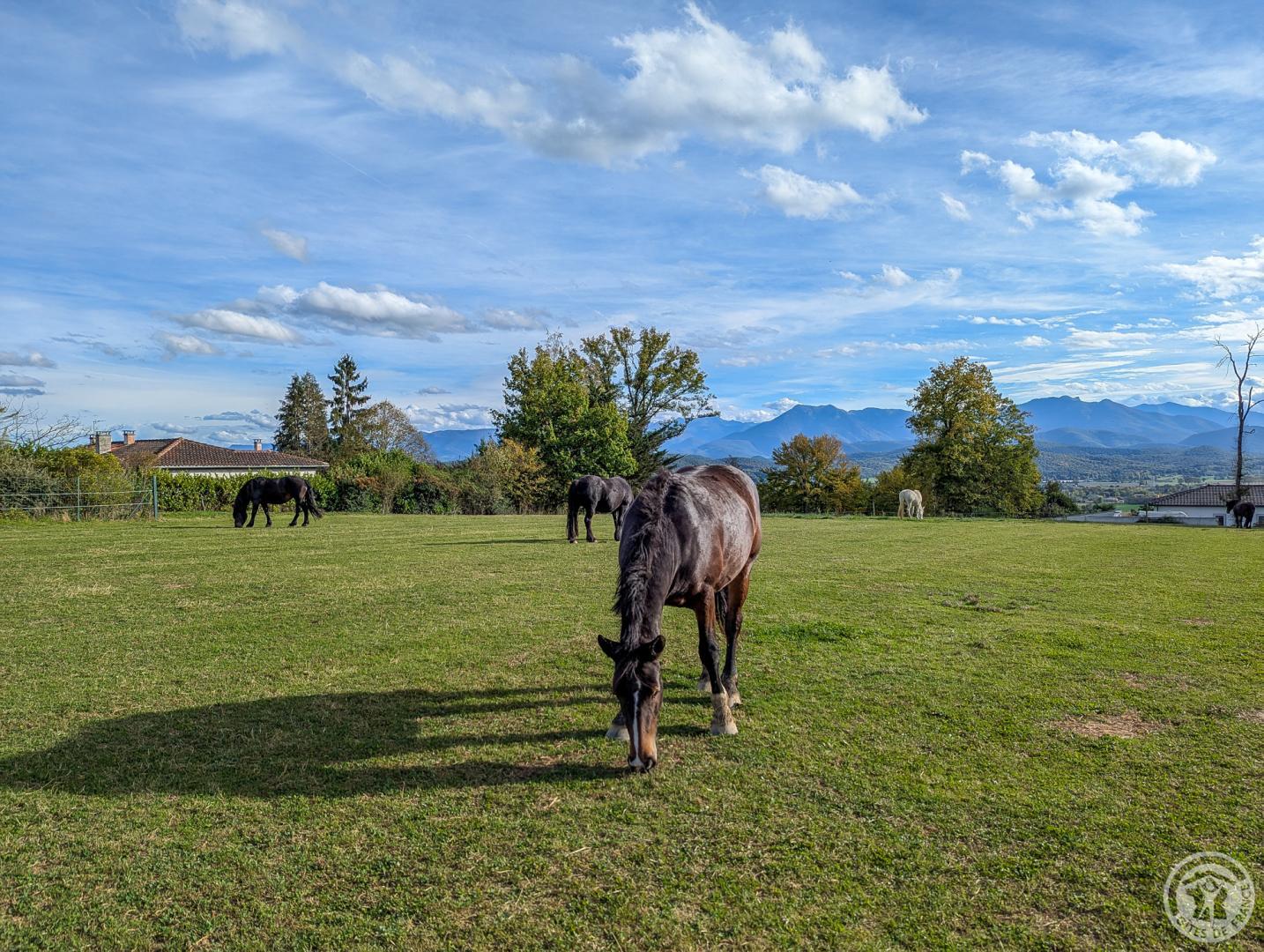 AU-DELÀ DES CIMES, Villeneuve-de-Rivière - photo 263