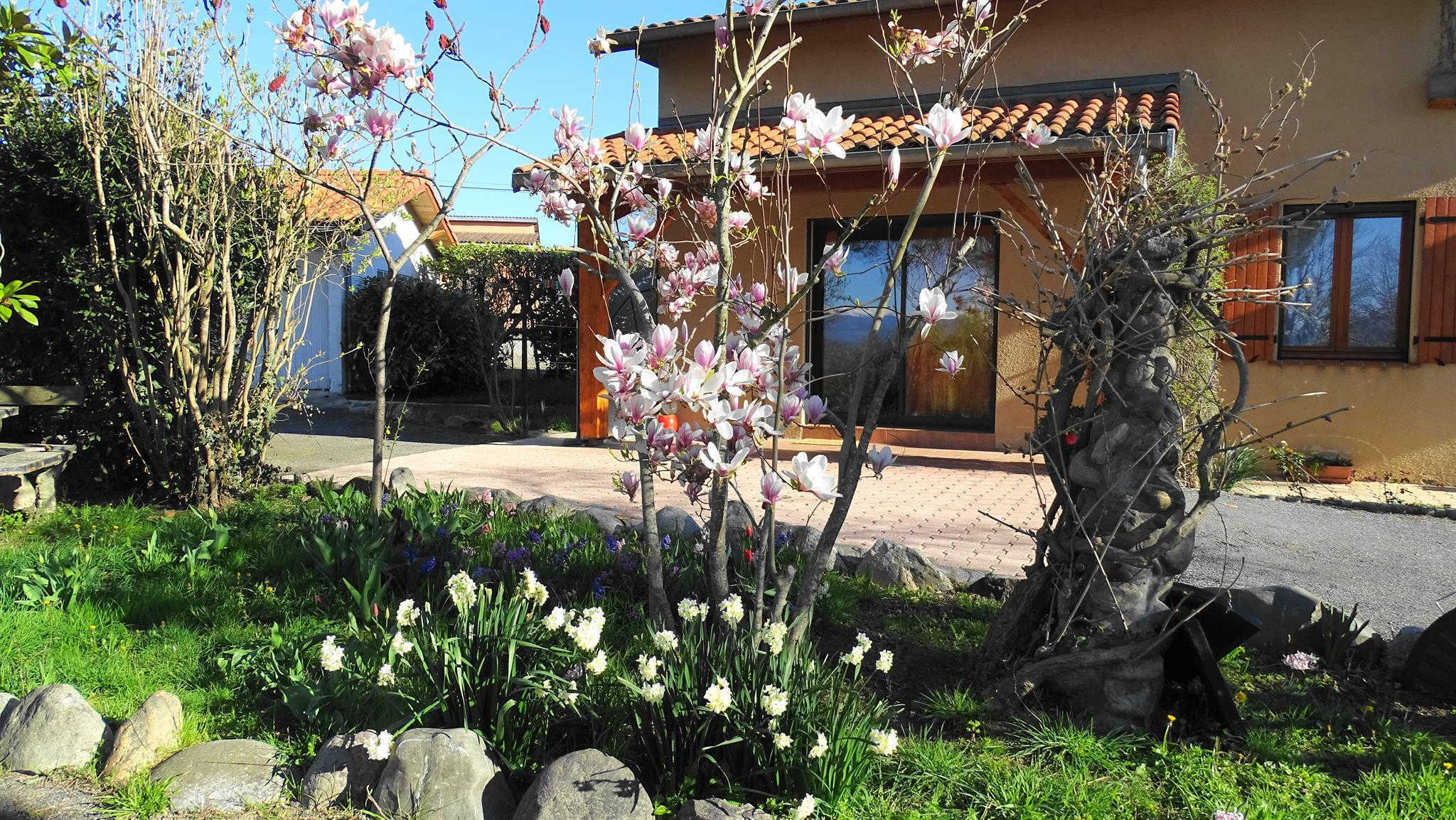 AU-DELÀ DES CIMES, Villeneuve-de-Rivière - photo 274