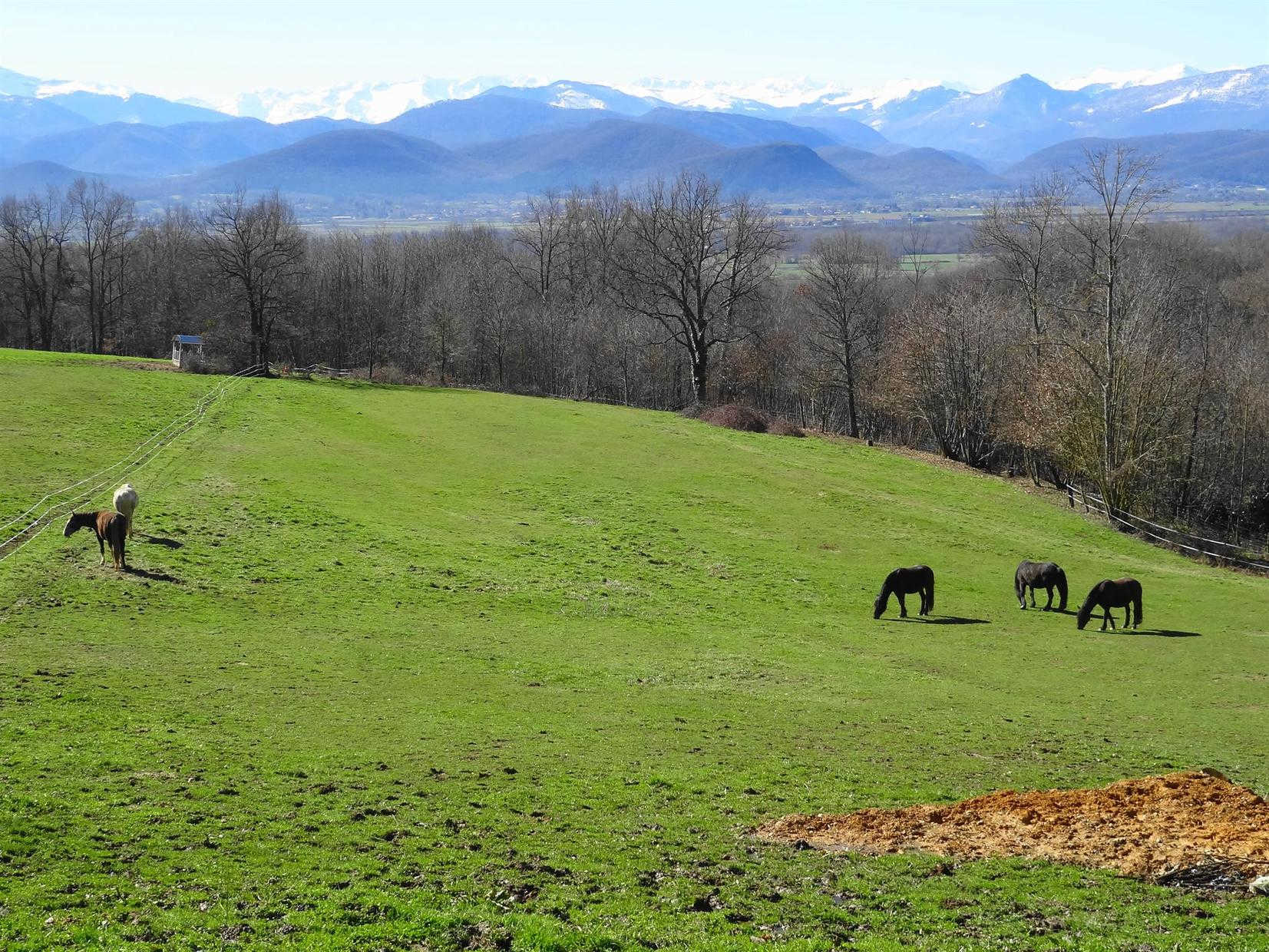 AU-DELÀ DES CIMES, Villeneuve-de-Rivière - photo 265