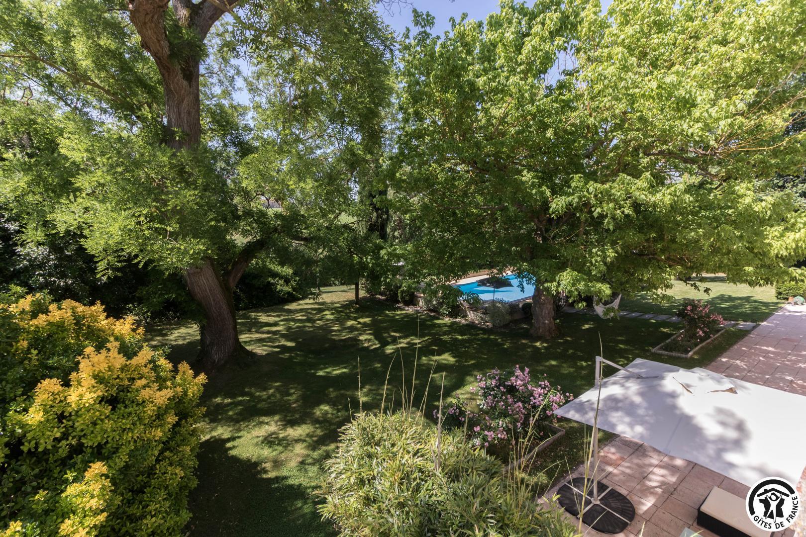 LA TARABELLOISE, Tarabel - photo 264