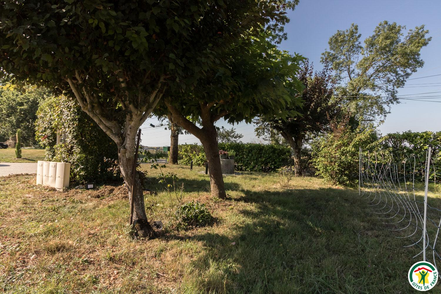 GÎTE LA SELVE D'AUTAN, Caraman - photo 154