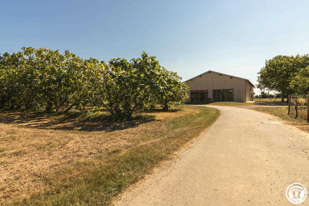 DOMAINE LE CAPROUGEAT - CAMPAGNE CHIC, Daux - photo 334
