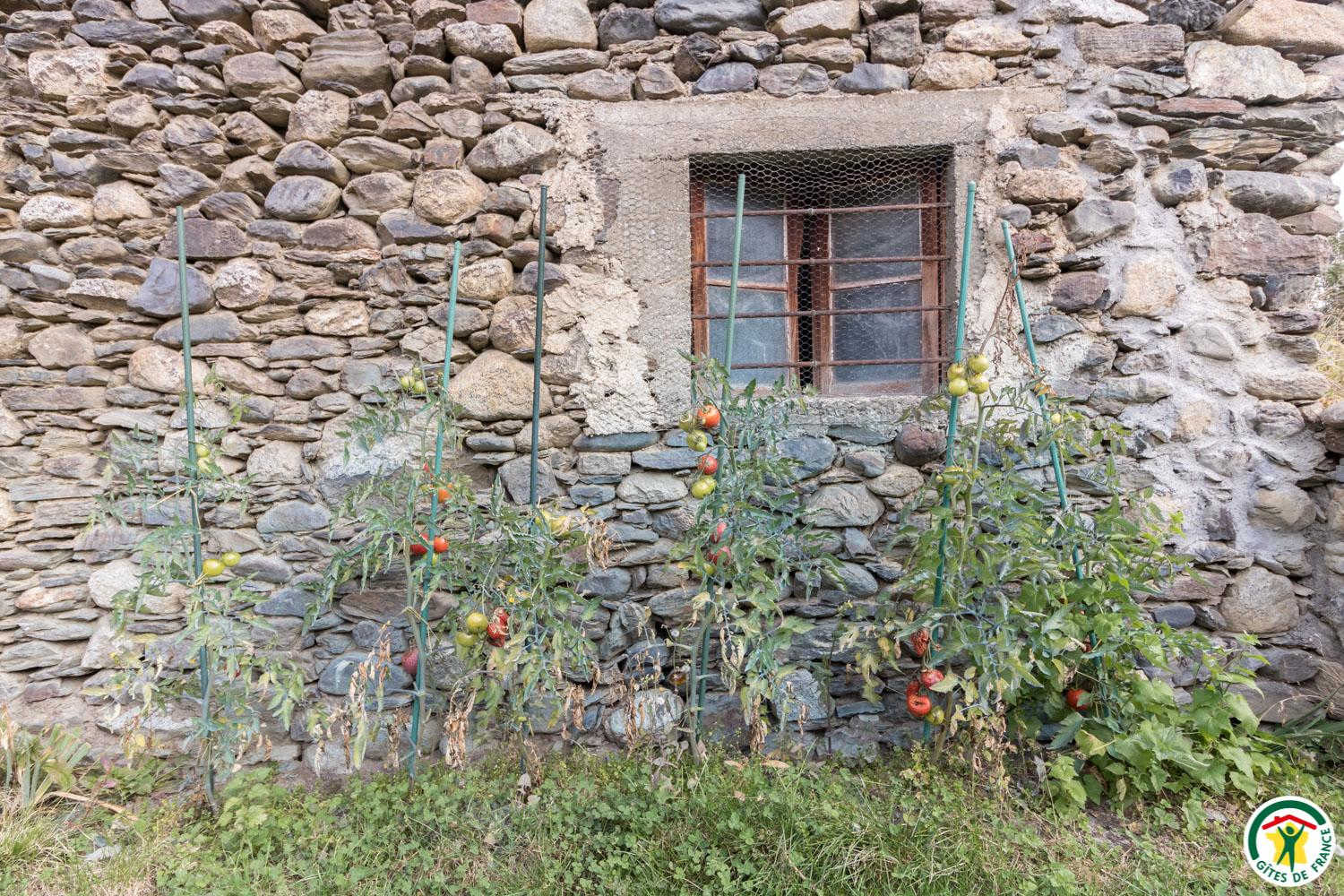 LES HAUTS DU CLOS DE BÉRANDE, Oô - photo 110