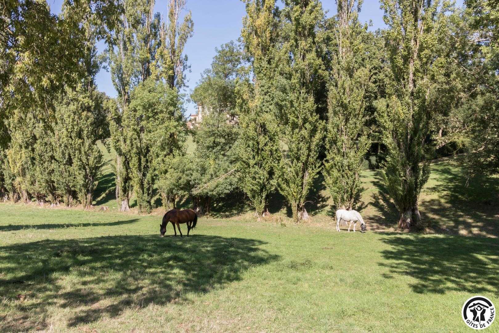 LES LORIOTS ET LA MUGUETTE, Drémil-Lafage - photo 136