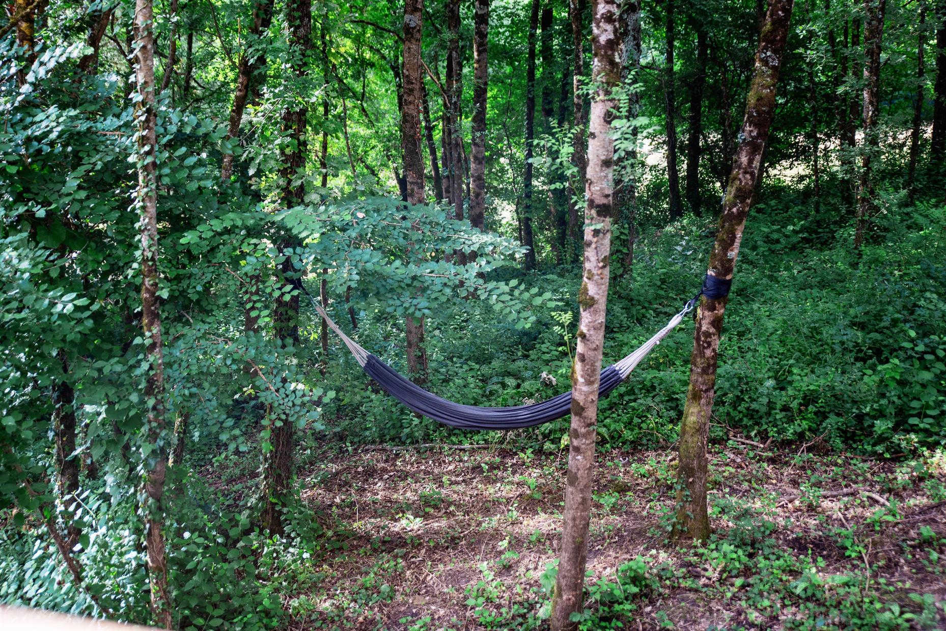 DANS LES ARBRES, Lanta - photo 81