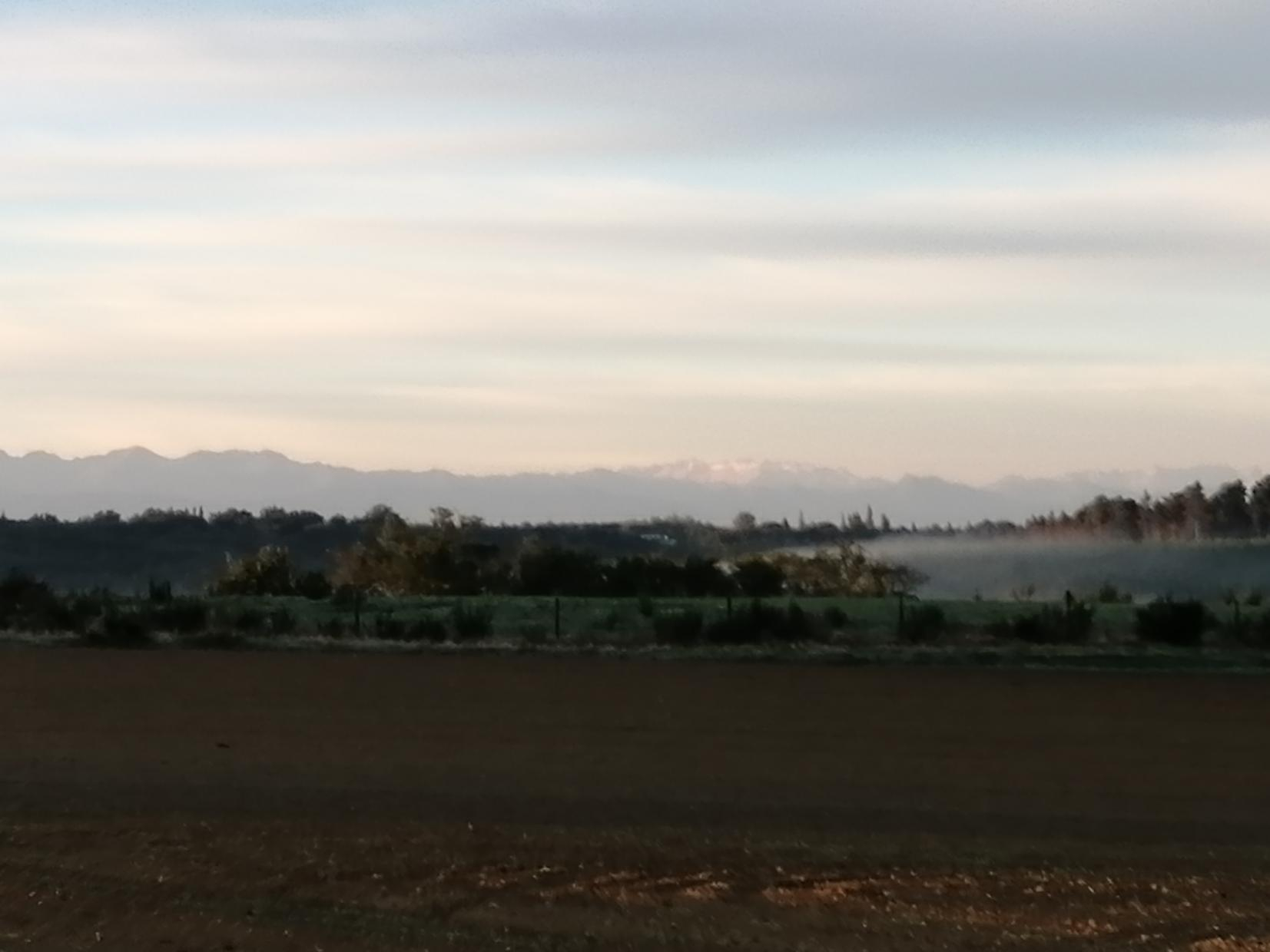 LES BICHOUS, Saint-Thomas - photo 215