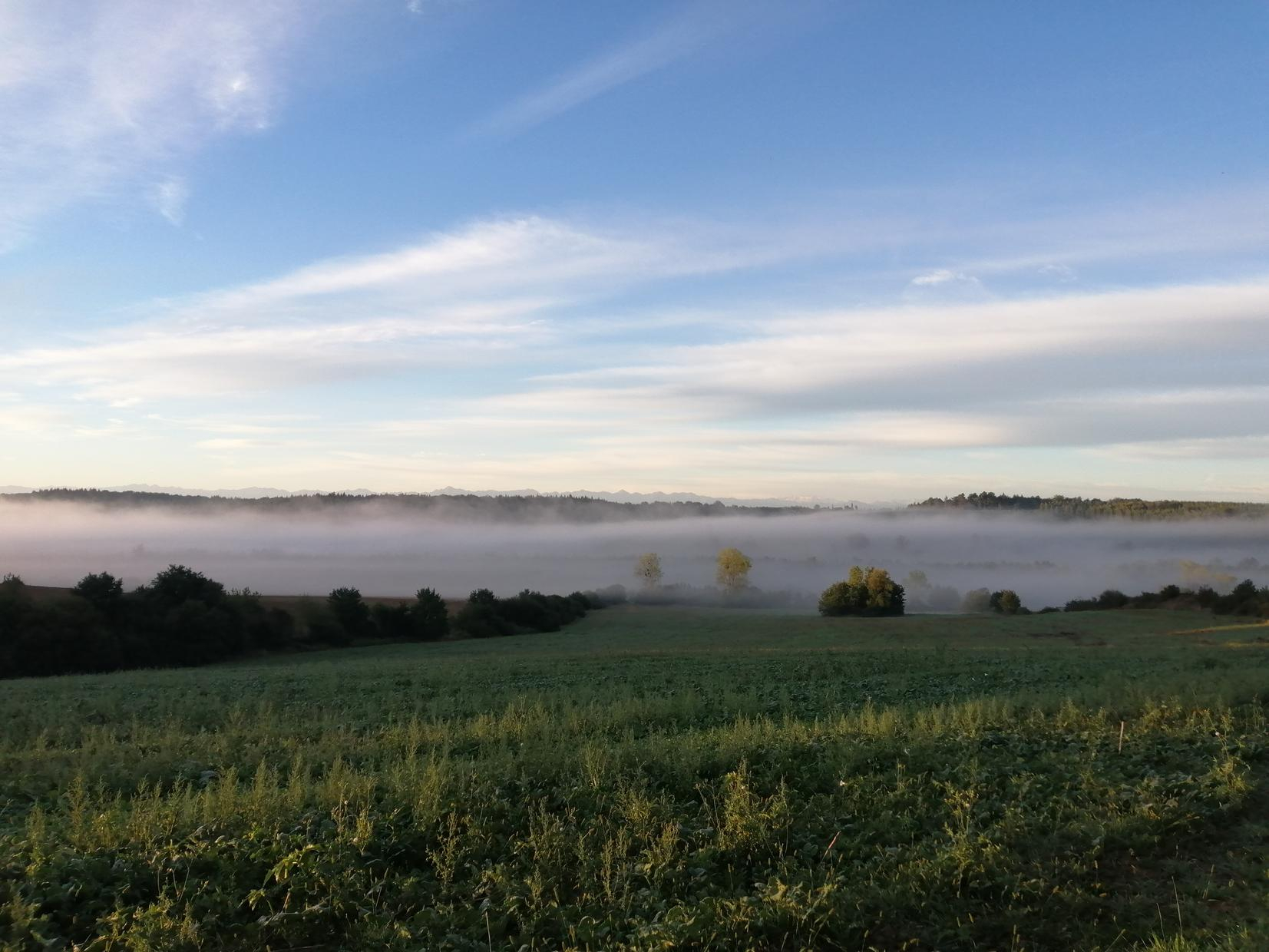 LES BICHOUS, Saint-Thomas - photo 234