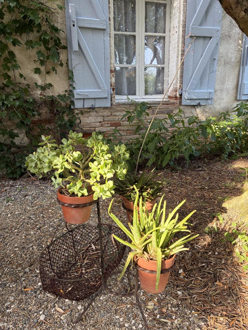 DOMAINE DE LA BORDASSE, Villematier - photo 473