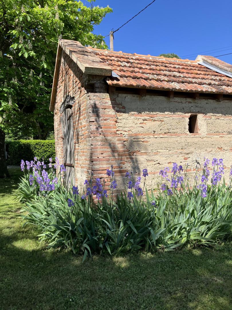 DOMAINE DE LA BORDASSE, Villematier - photo 475