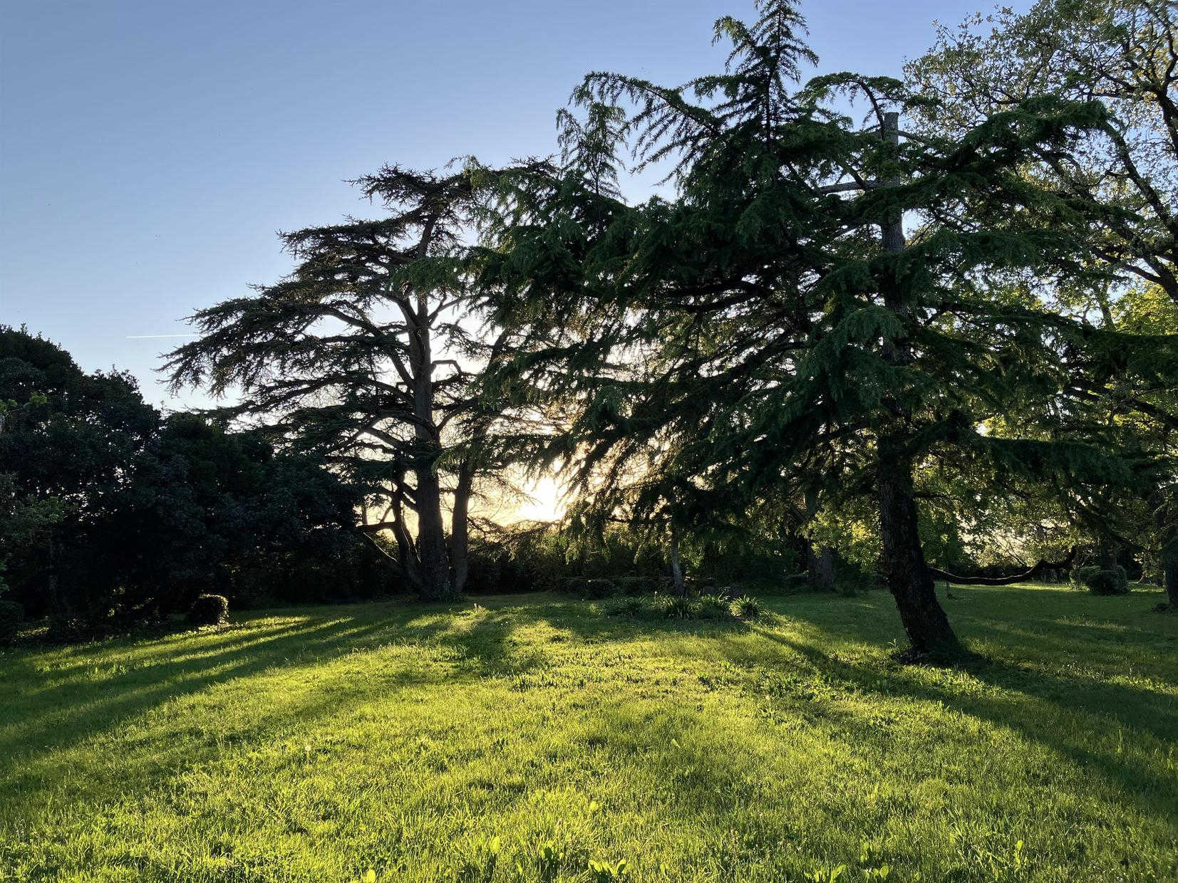 DOMAINE DE LA BORDASSE, Villematier - photo 503