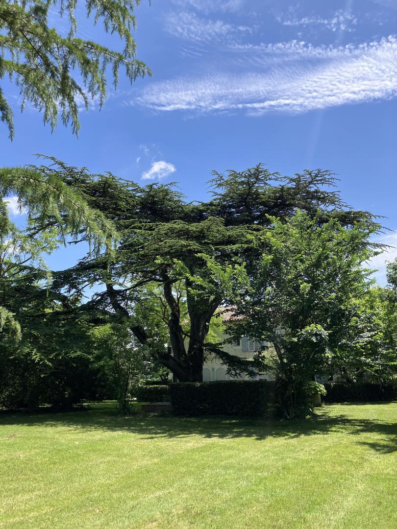 DOMAINE DE LA BORDASSE, Villematier - photo 516