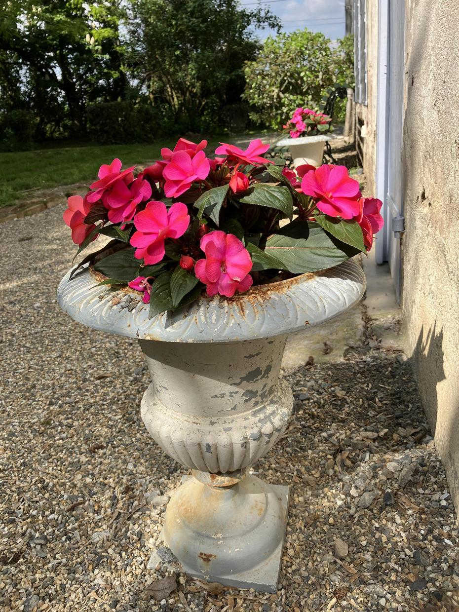 DOMAINE DE LA BORDASSE, Villematier - photo 479