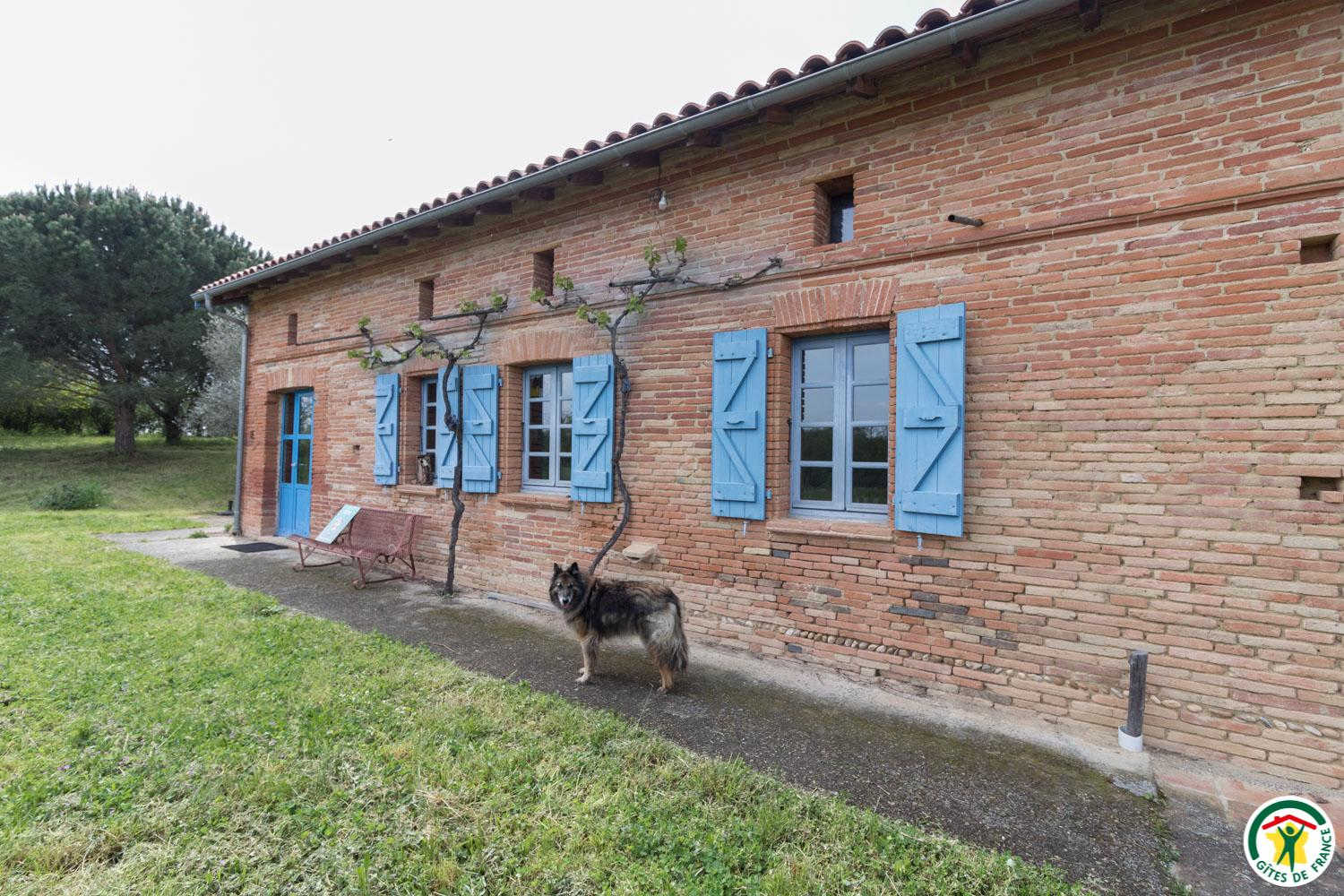 DOMAINE DE GALITRAN, Villeneuve-lès-Bouloc - photo 228