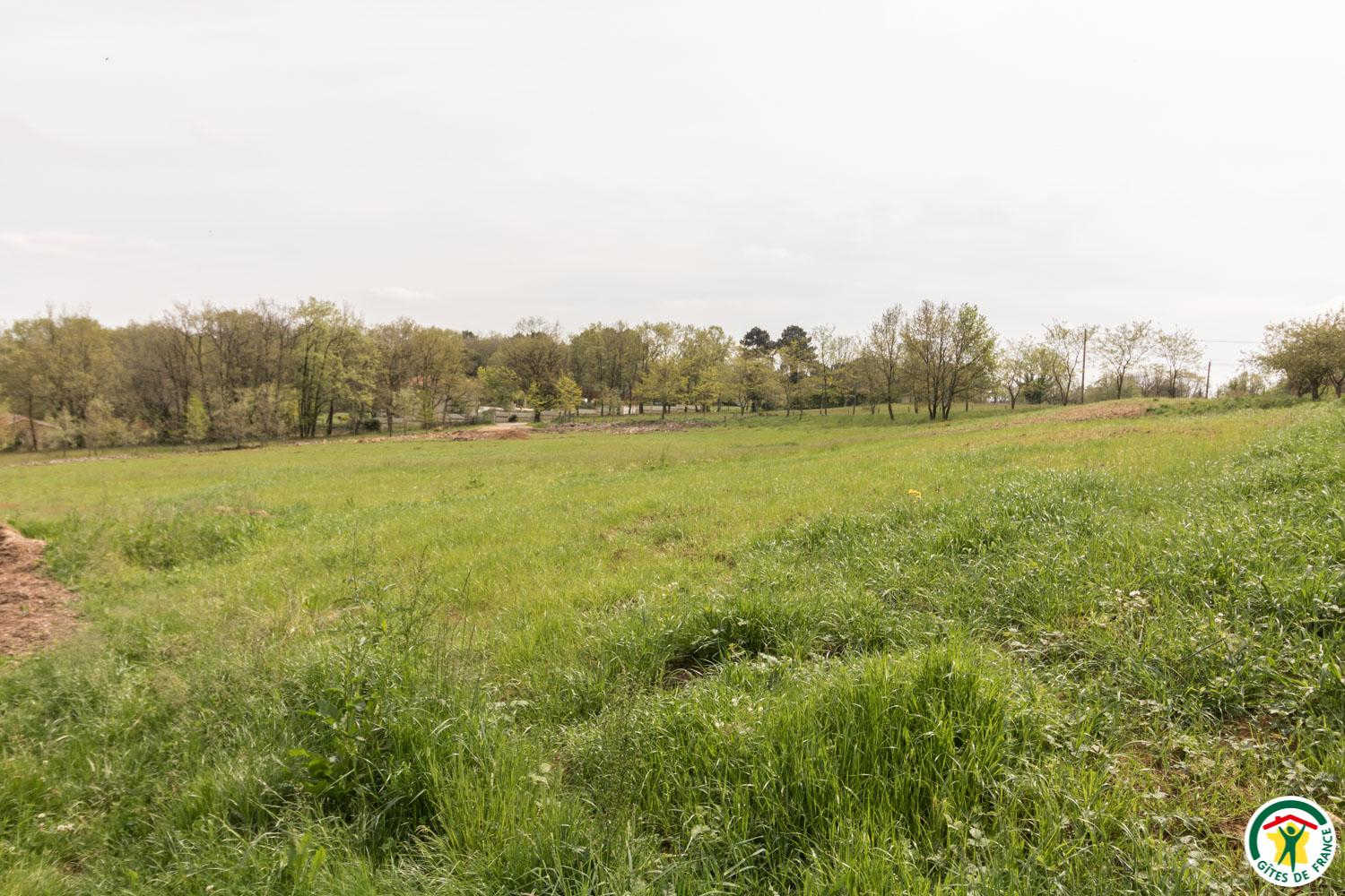 DOMAINE DE GALITRAN, Villeneuve-lès-Bouloc - photo 253